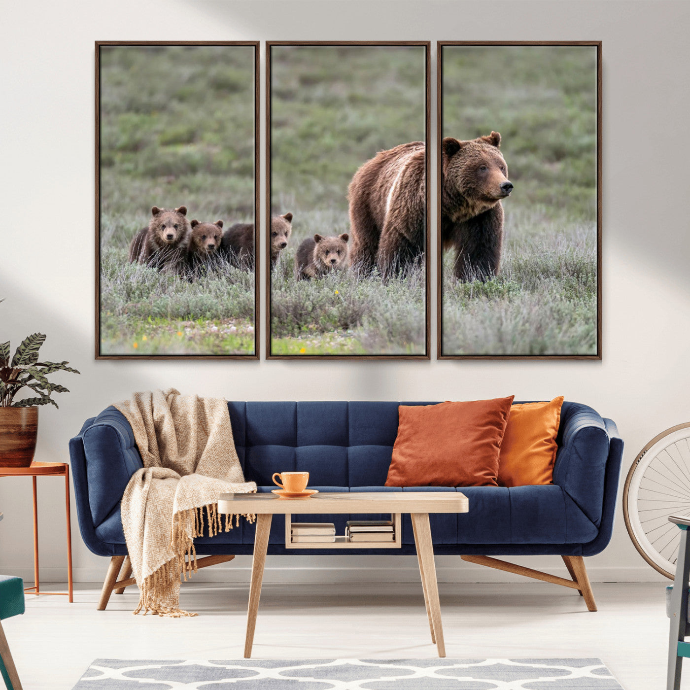 Wildlife Photography of 399 Grizzly Bear Cubs | Queen of the