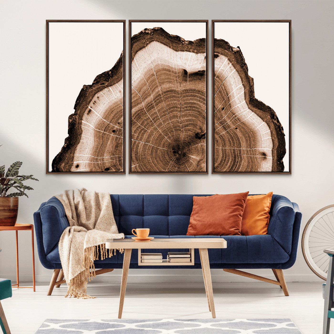 Rustic Wood Rings Wall Art | Nature-Inspired Tree Ring