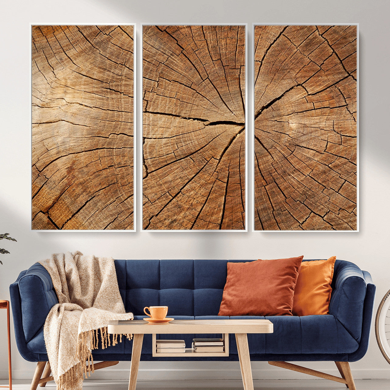 Tree Ring Canvas Art, Rustic Wood Grain Wall Art, Tree Slice