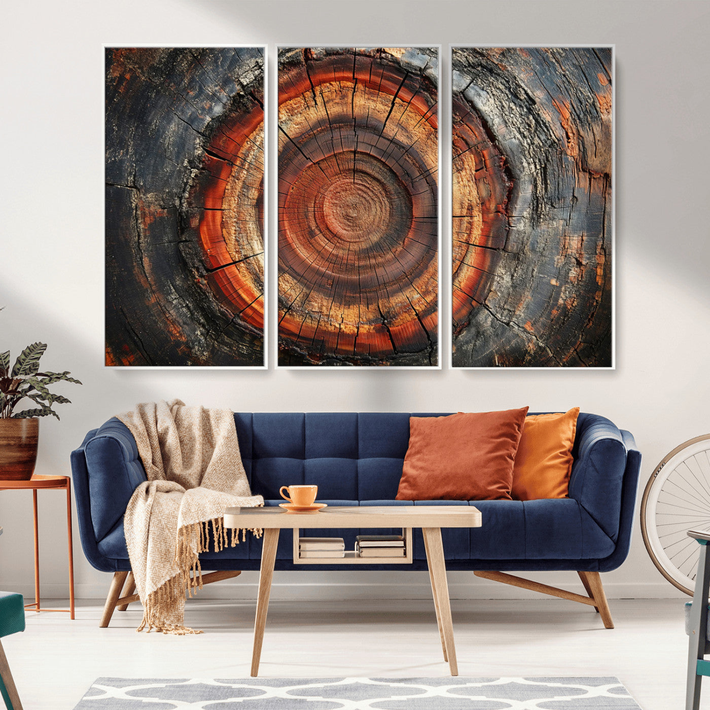 Wood Grain Canvas Wall Art - Framed Abstract Tree Ring