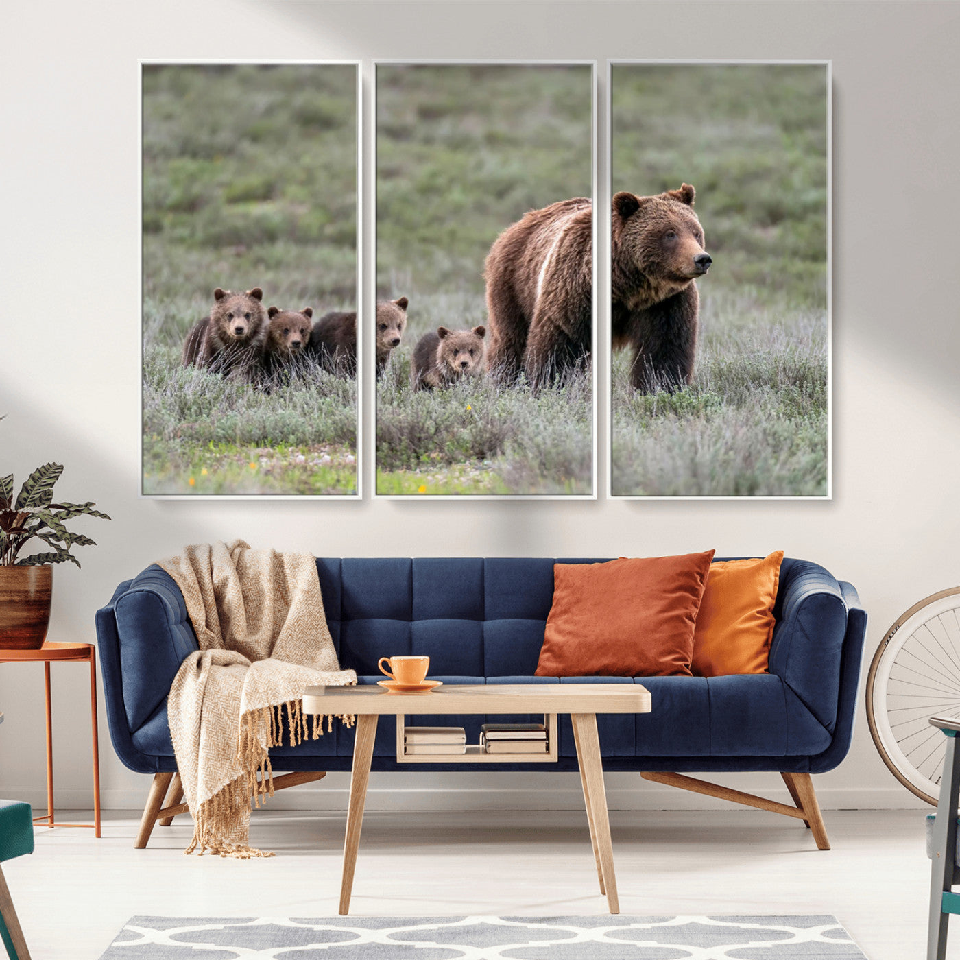 Wildlife Photography of 399 Grizzly Bear Cubs | Queen of the