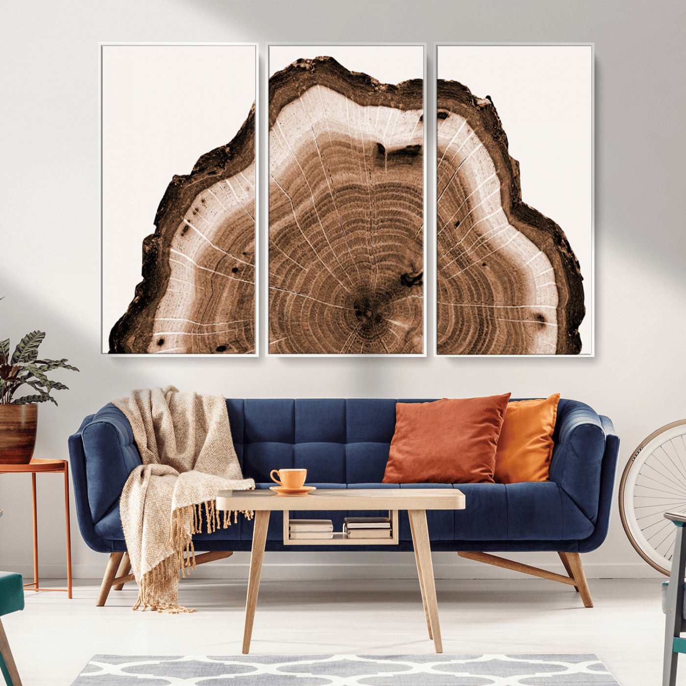 Rustic Wood Rings Wall Art | Nature-Inspired Tree Ring