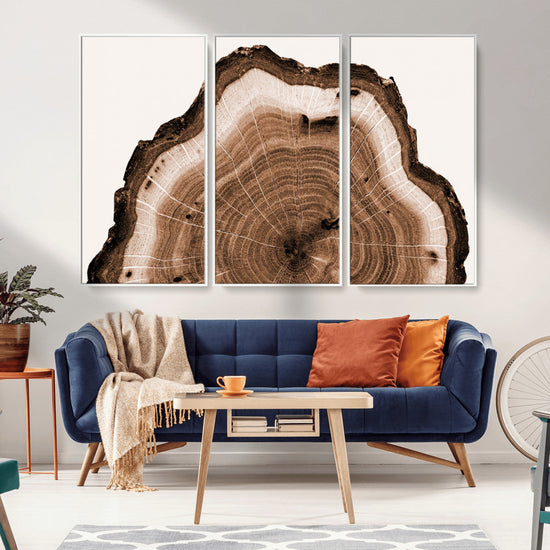 Rustic Wood Rings Wall Art | Nature-Inspired Tree Ring