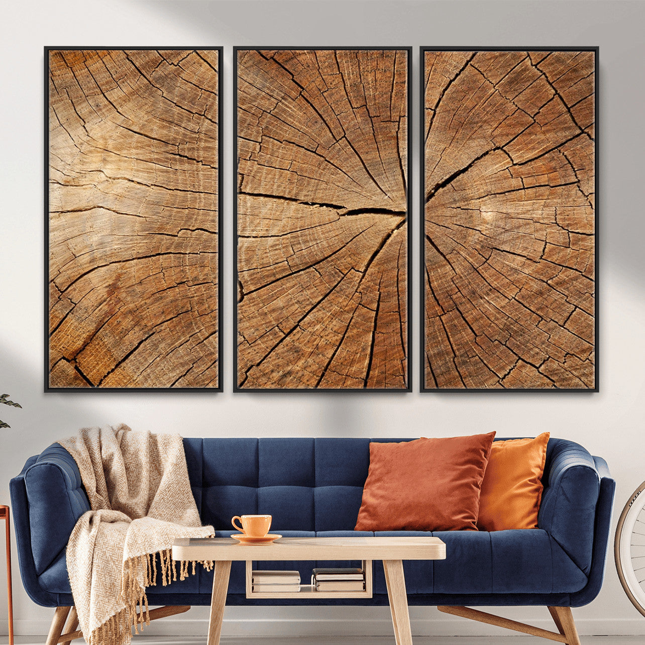 Tree Ring Canvas Art, Rustic Wood Grain Wall Art, Tree Slice