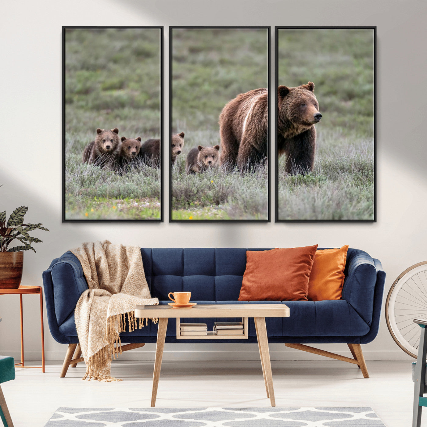 Wildlife Photography of 399 Grizzly Bear Cubs | Queen of the