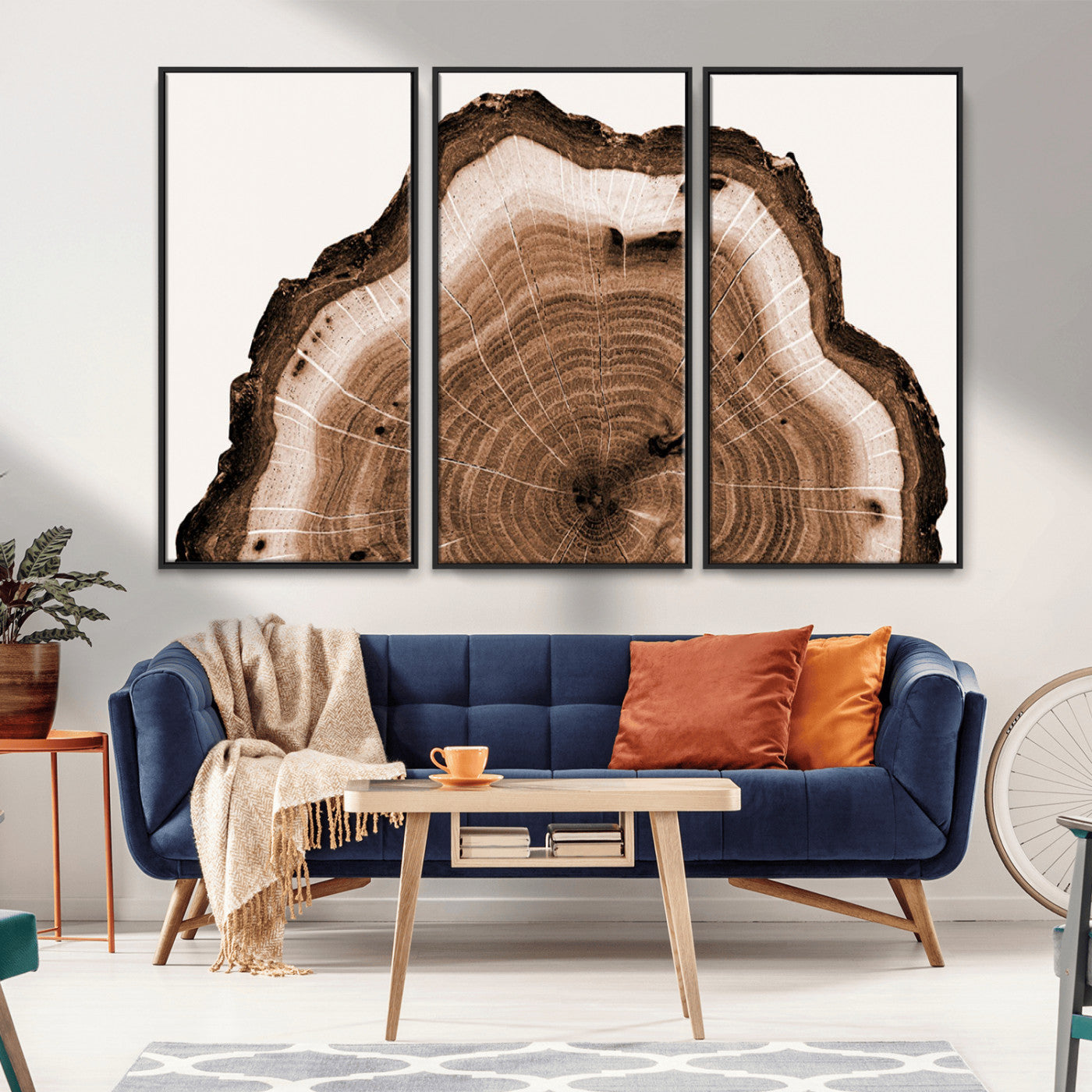 Rustic Wood Rings Wall Art | Nature-Inspired Tree Ring