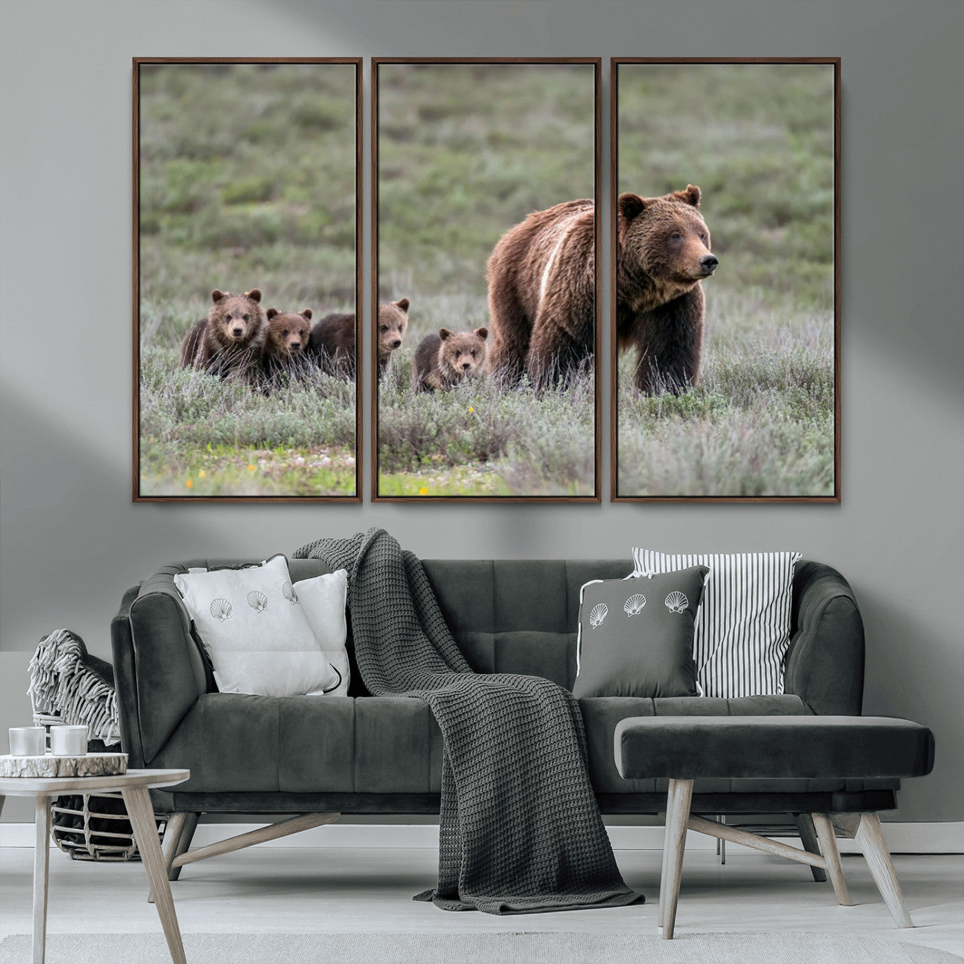 Wildlife Photography of 399 Grizzly Bear Cubs | Queen of the