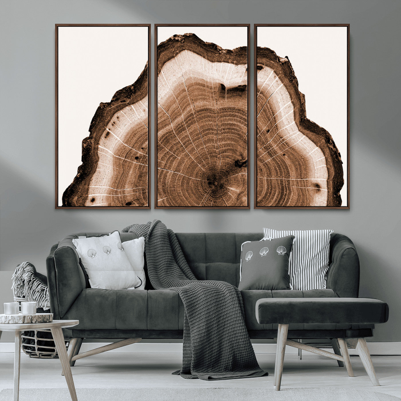 Rustic Wood Rings Wall Art | Nature-Inspired Tree Ring