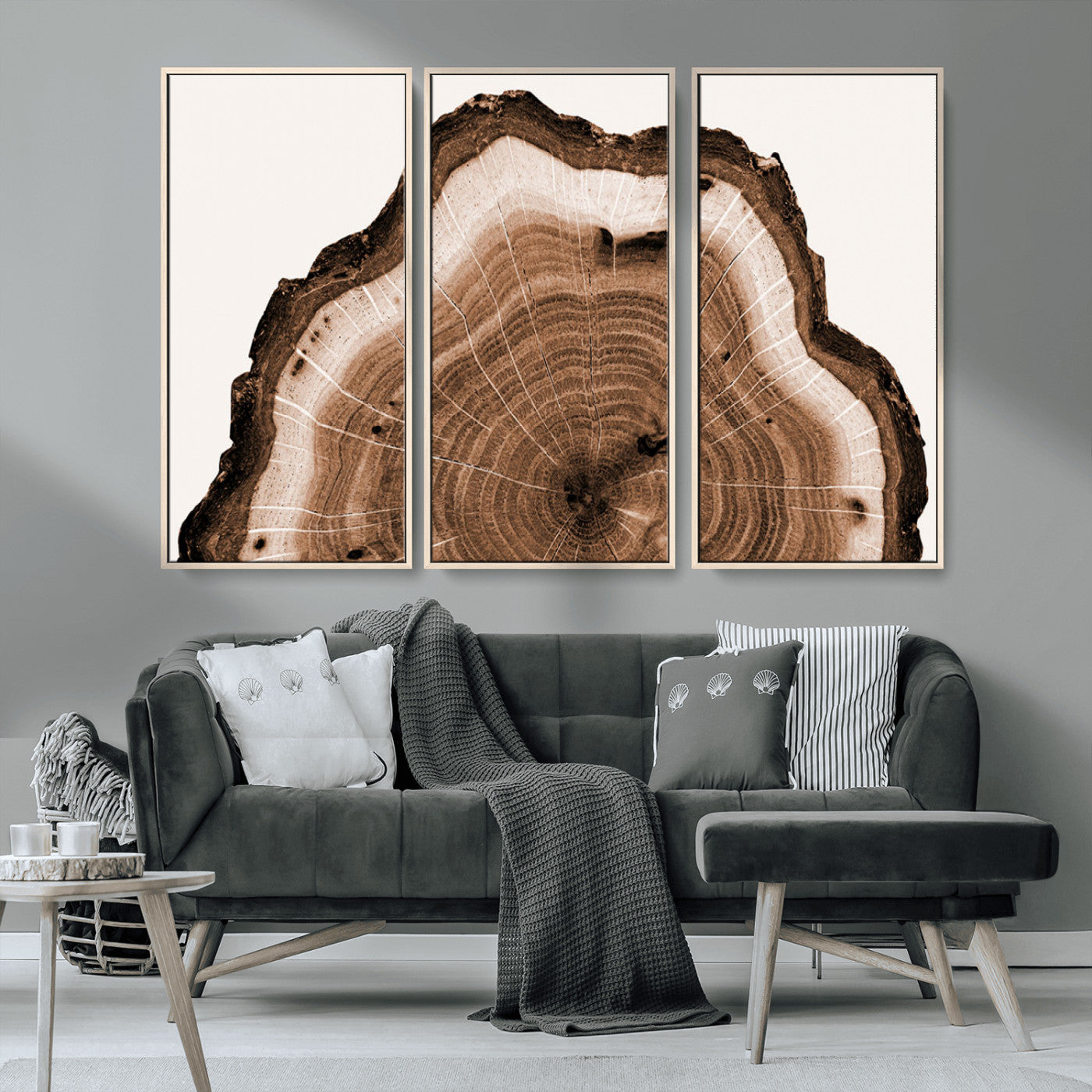 Rustic Wood Rings Wall Art | Nature-Inspired Tree Ring