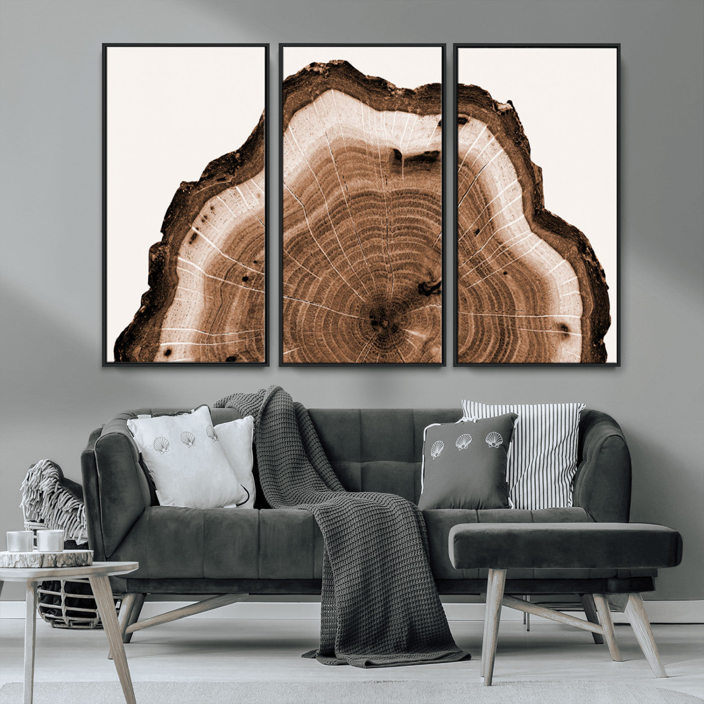 Rustic Wood Rings Wall Art | Nature-Inspired Tree Ring