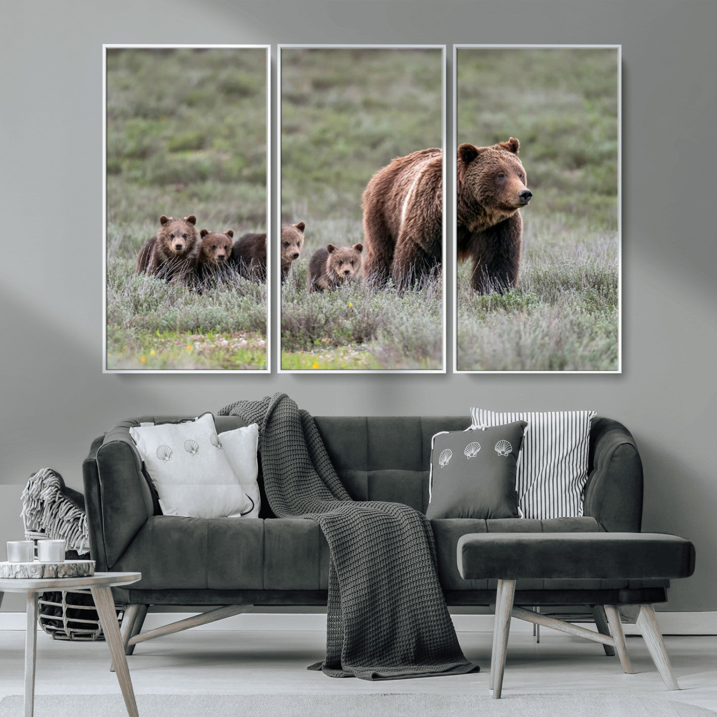 Wildlife Photography of 399 Grizzly Bear Cubs | Queen of the
