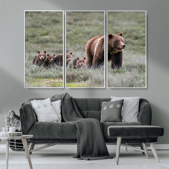 Wildlife Photography of 399 Grizzly Bear Cubs | Queen of the