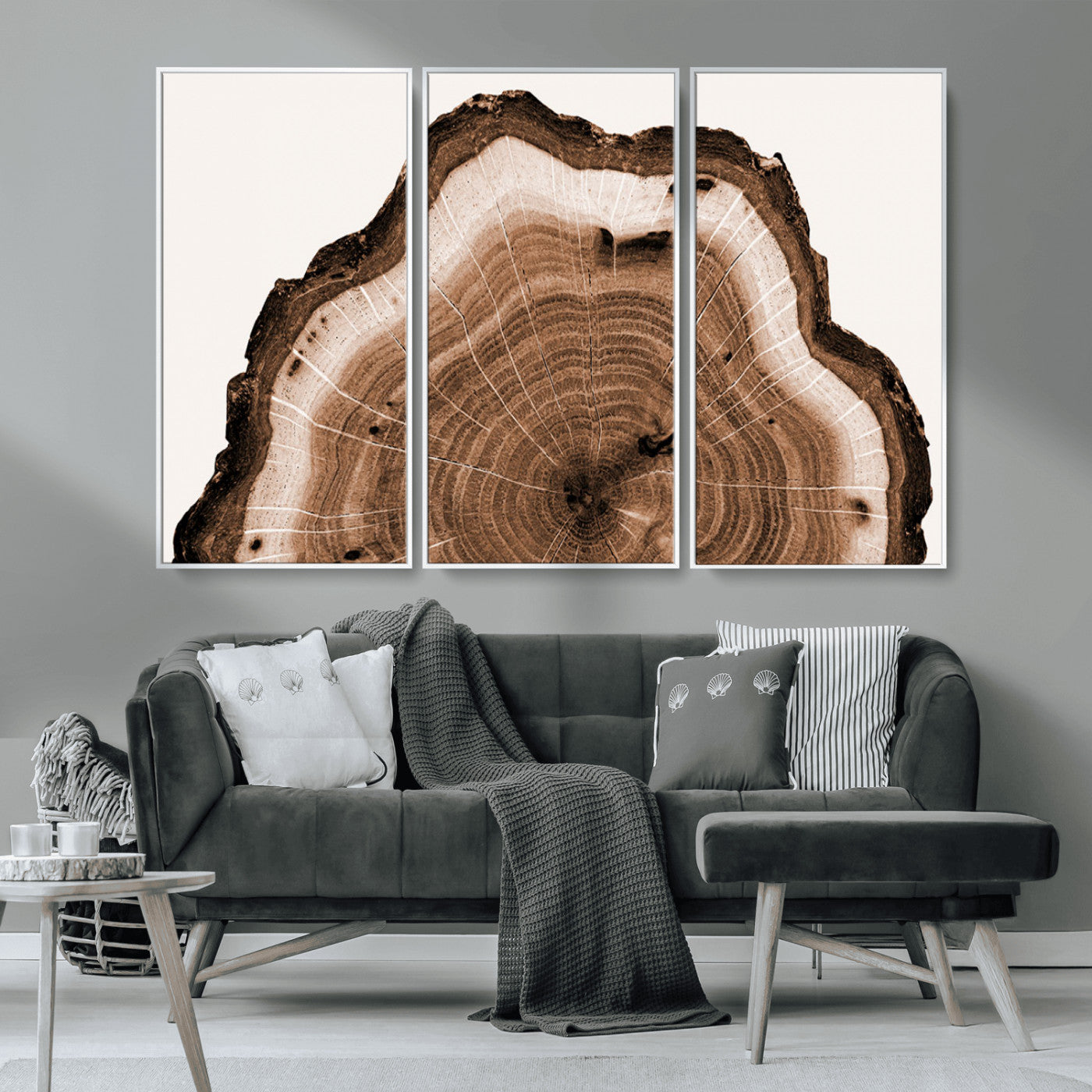 Rustic Wood Rings Wall Art | Nature-Inspired Tree Ring