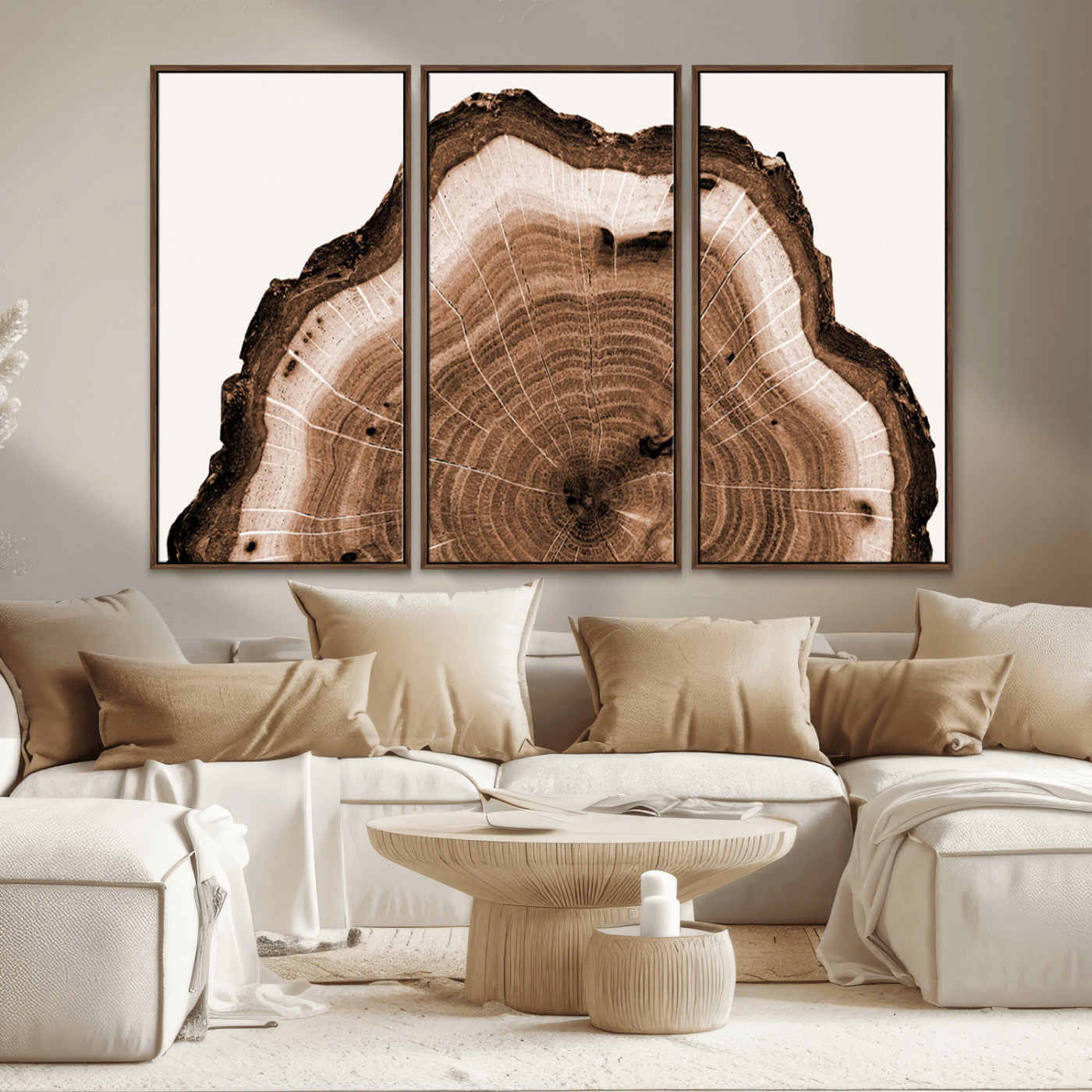 Rustic Wood Rings Wall Art | Nature-Inspired Tree Ring