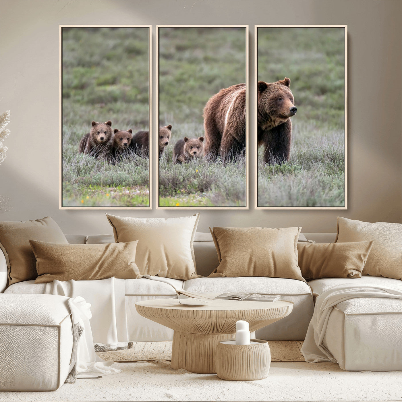 Wildlife Photography of 399 Grizzly Bear Cubs | Queen of the
