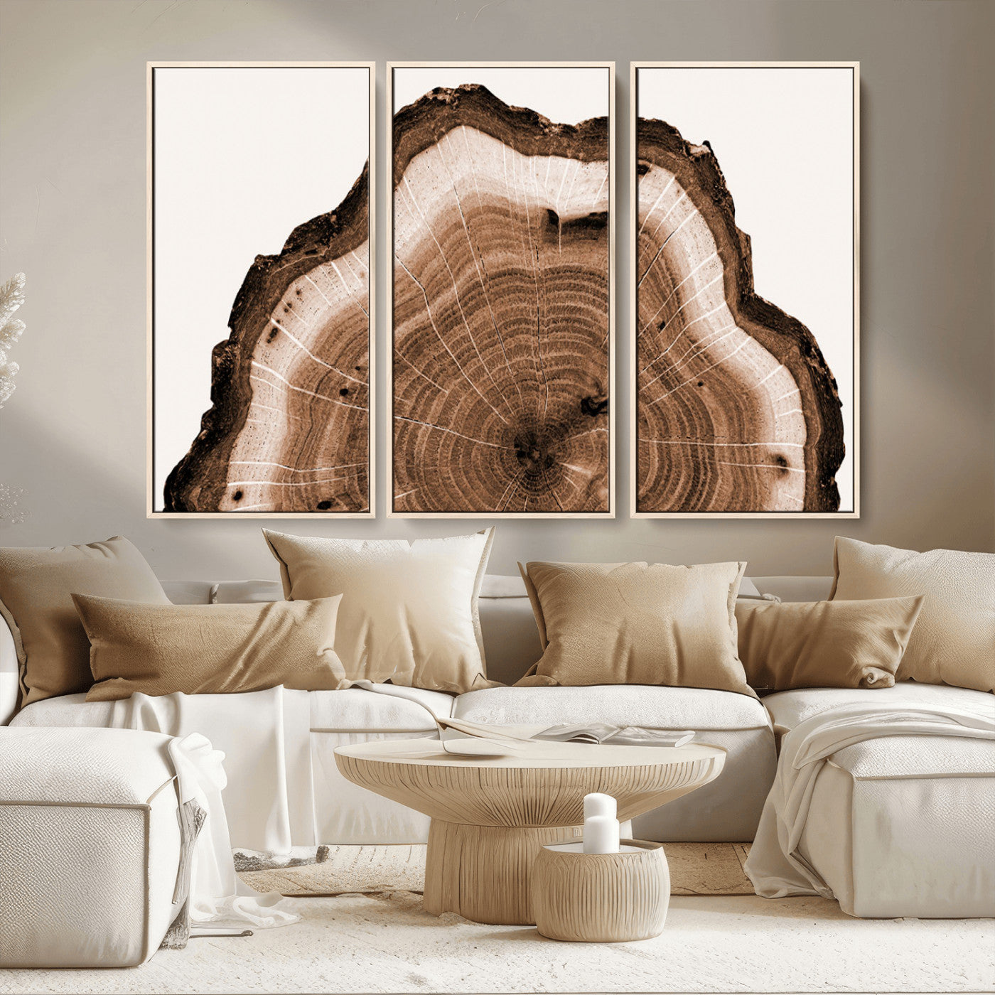 Rustic Wood Rings Wall Art | Nature-Inspired Tree Ring