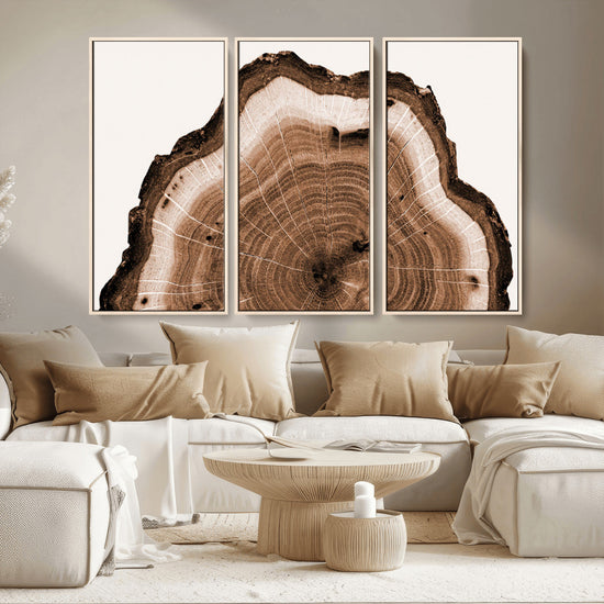 Rustic Wood Rings Wall Art | Nature-Inspired Tree Ring