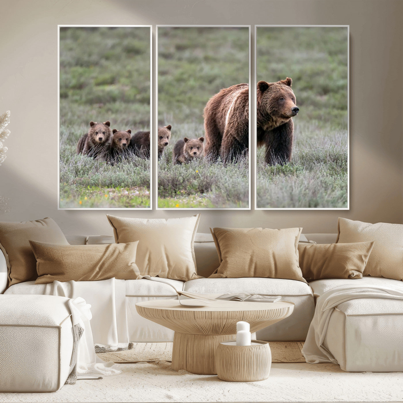 Wildlife Photography of 399 Grizzly Bear Cubs | Queen of the