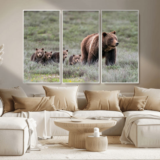 Wildlife Photography of 399 Grizzly Bear Cubs | Queen of the