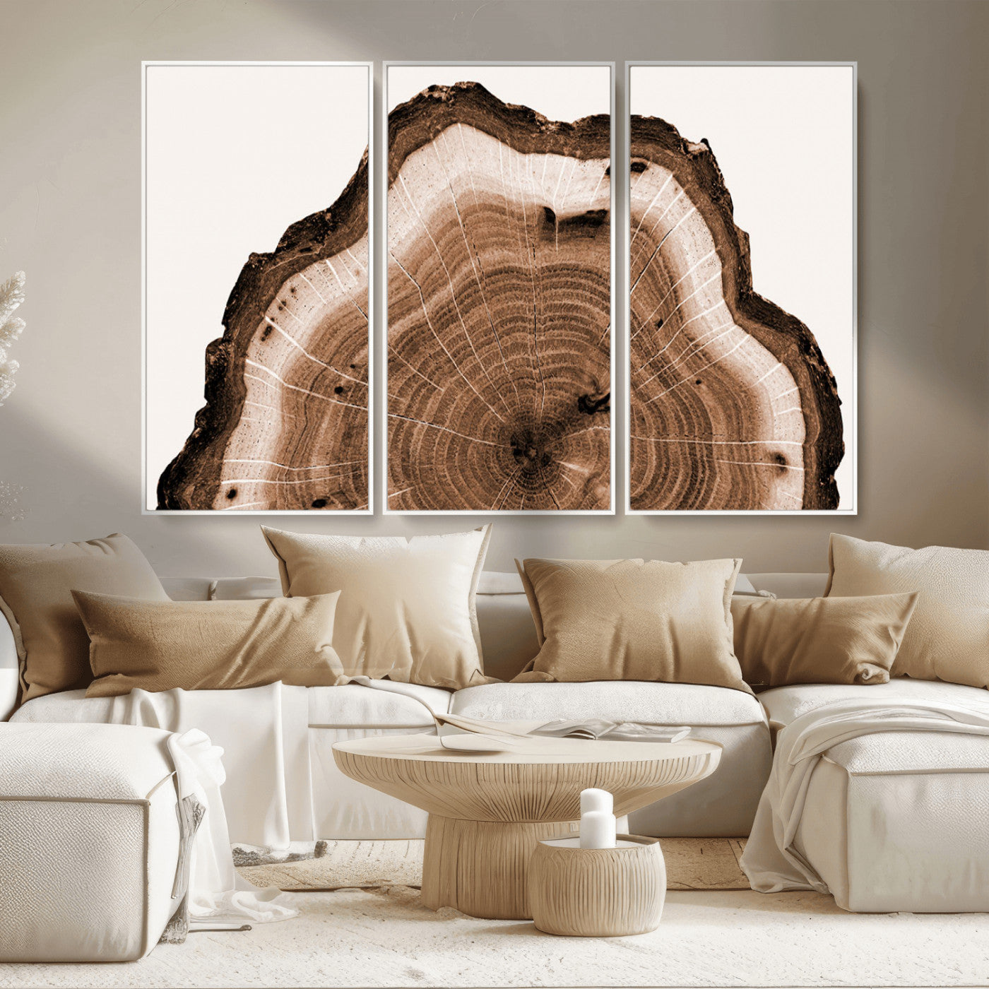 Rustic Wood Rings Wall Art | Nature-Inspired Tree Ring