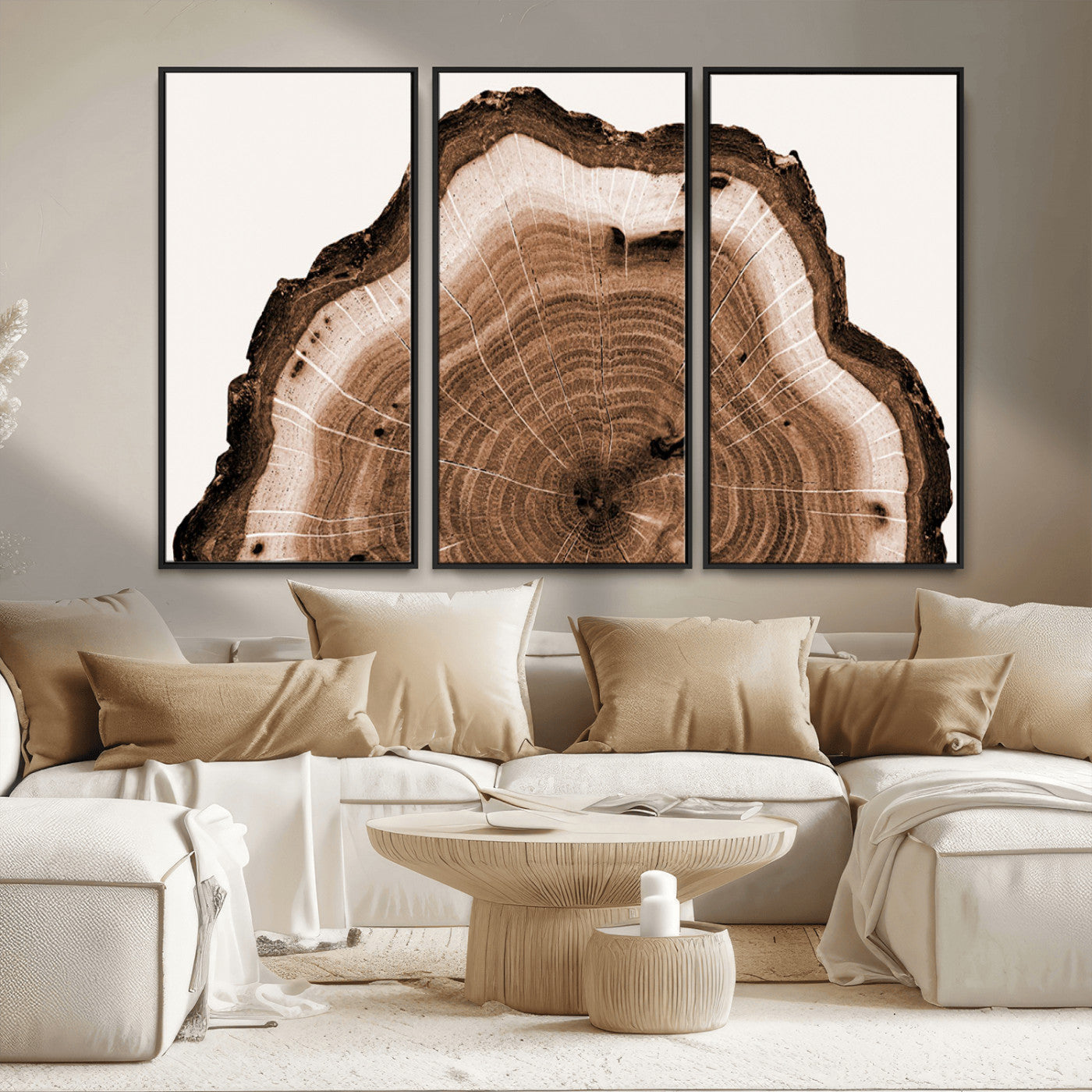 Rustic Wood Rings Wall Art | Nature-Inspired Tree Ring