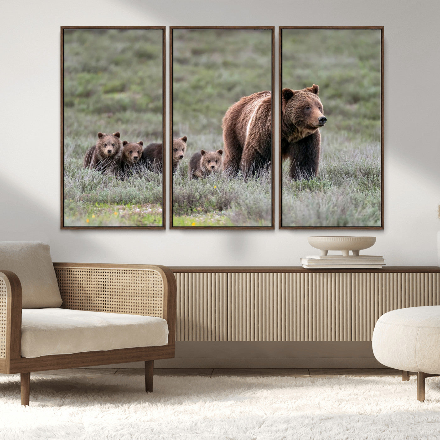 Wildlife Photography of 399 Grizzly Bear Cubs | Queen of the