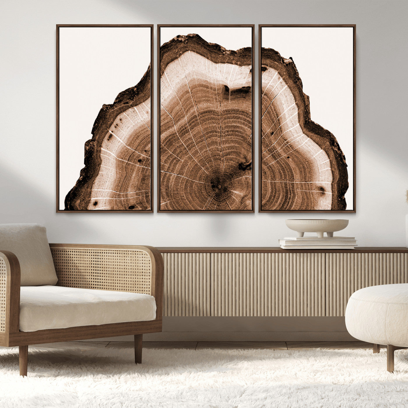 Rustic Wood Rings Wall Art | Nature-Inspired Tree Ring