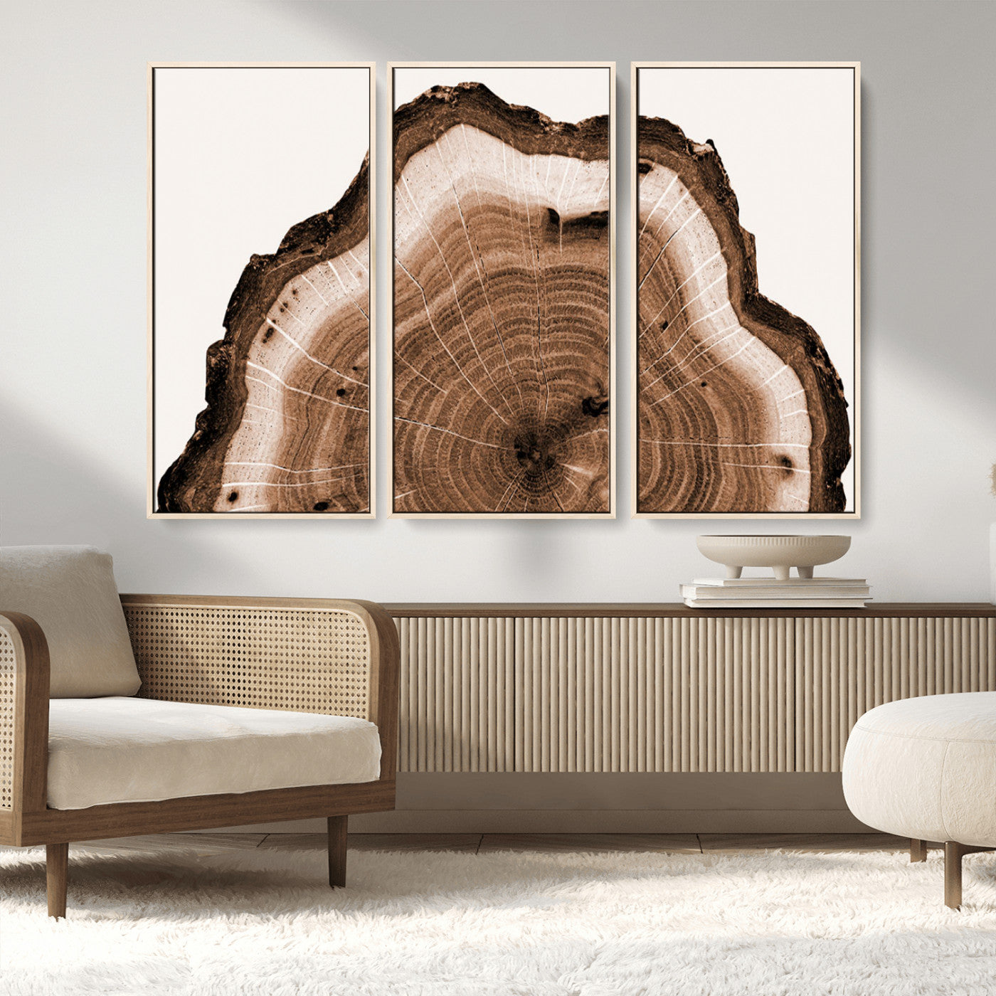 Rustic Wood Rings Wall Art | Nature-Inspired Tree Ring