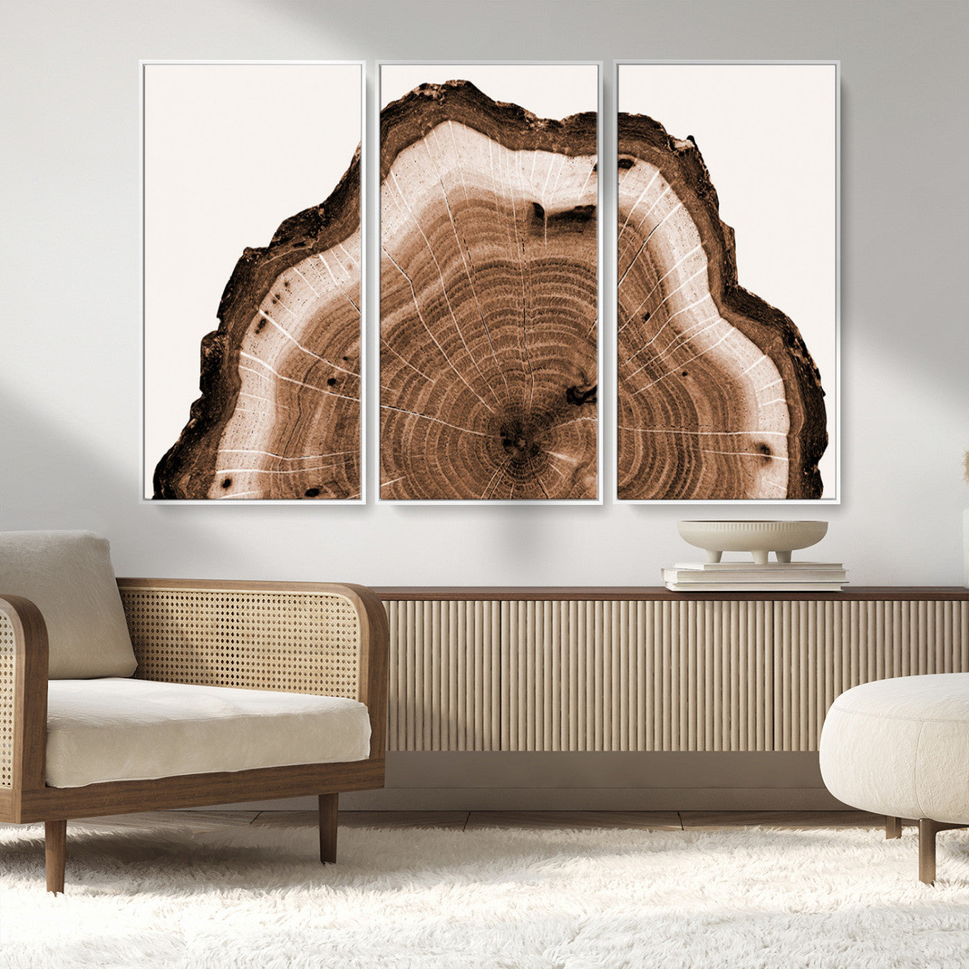 Rustic Wood Rings Wall Art | Nature-Inspired Tree Ring