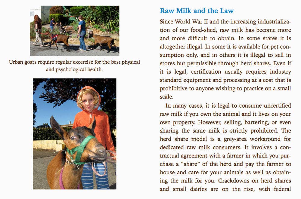 Everyday Cheesemaking: Dairy & Nut Cheese at Home