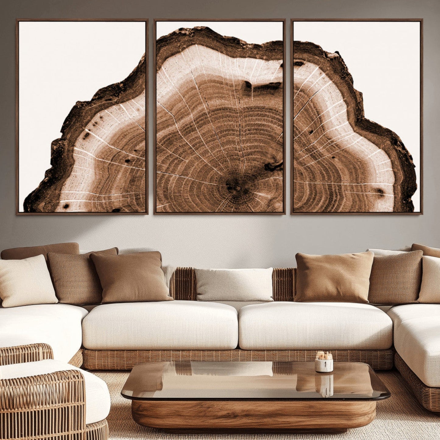 Rustic Wood Rings Wall Art | Nature-Inspired Tree Ring