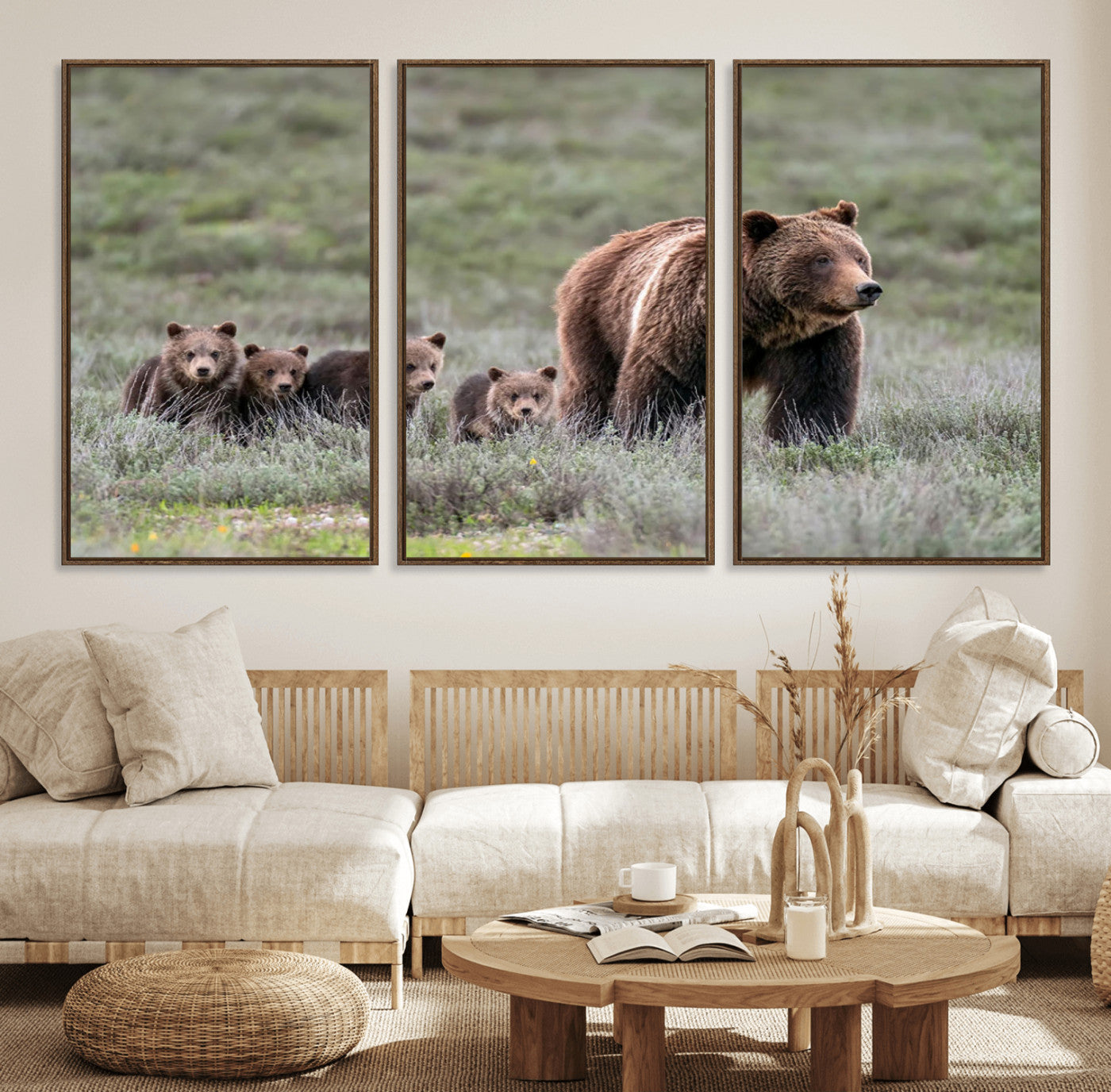 Wildlife Photography of 399 Grizzly Bear Cubs | Queen of the