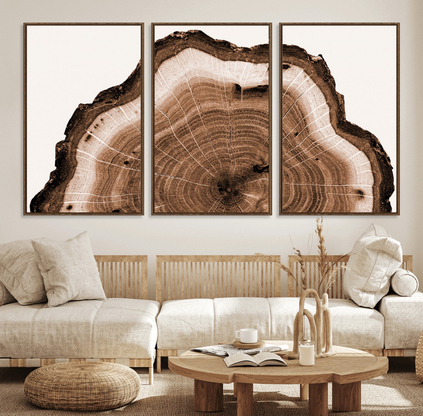 Rustic Wood Rings Wall Art | Nature-Inspired Tree Ring