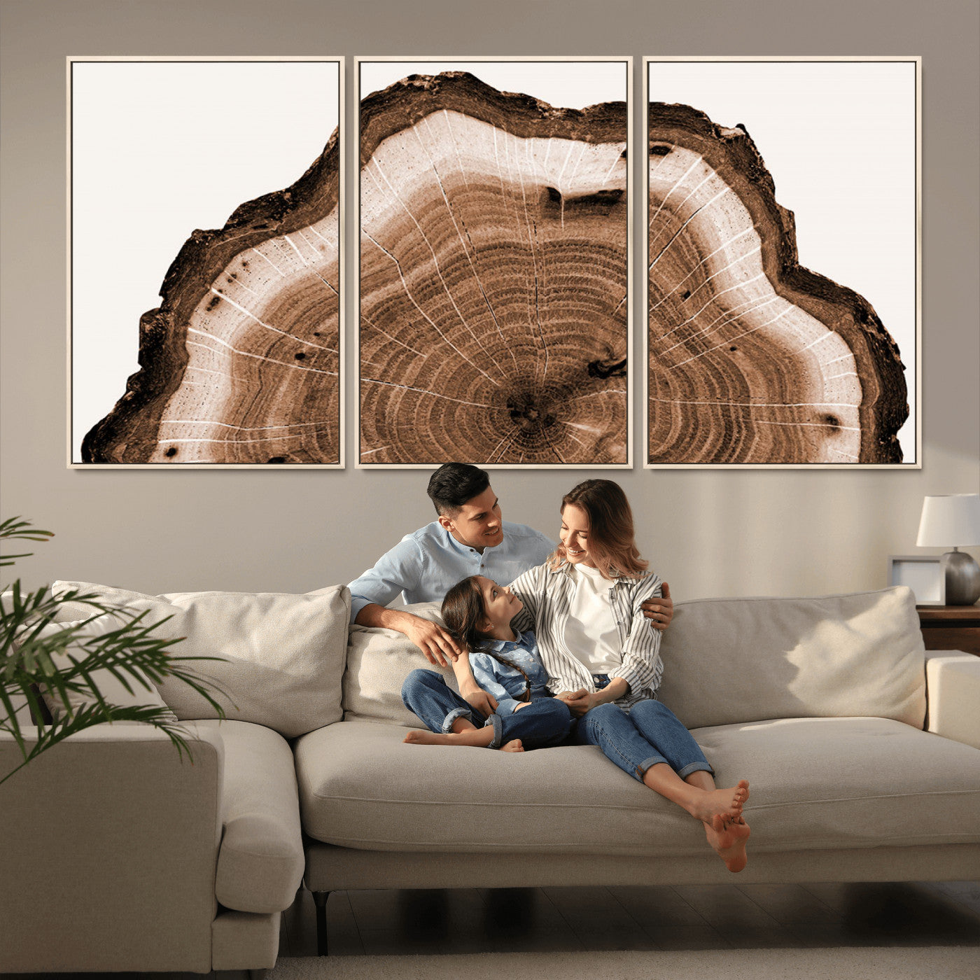 Rustic Wood Rings Wall Art | Nature-Inspired Tree Ring
