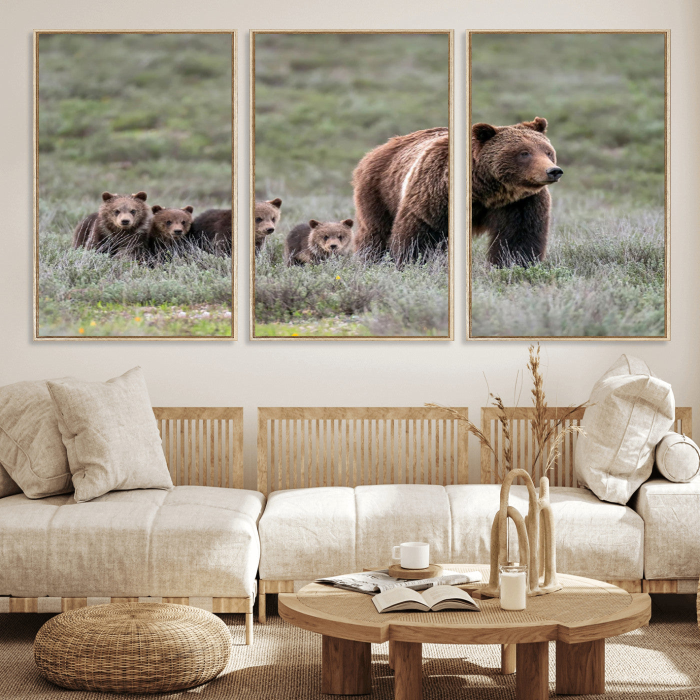 Wildlife Photography of 399 Grizzly Bear Cubs | Queen of the