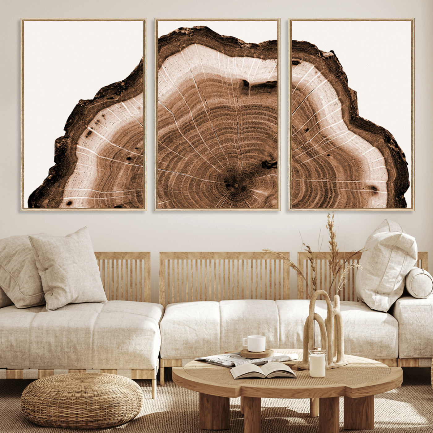 Rustic Wood Rings Wall Art | Nature-Inspired Tree Ring