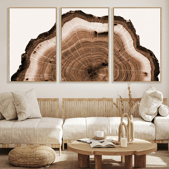 Rustic Wood Rings Wall Art | Nature-Inspired Tree Ring