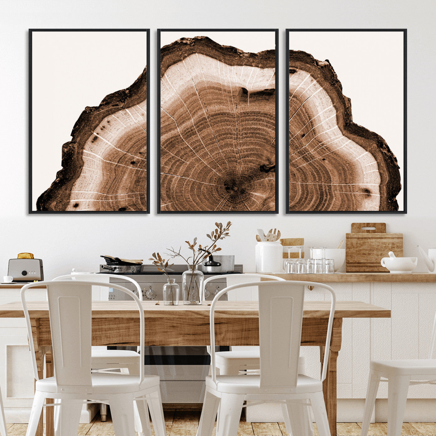 Rustic Wood Rings Wall Art | Nature-Inspired Tree Ring