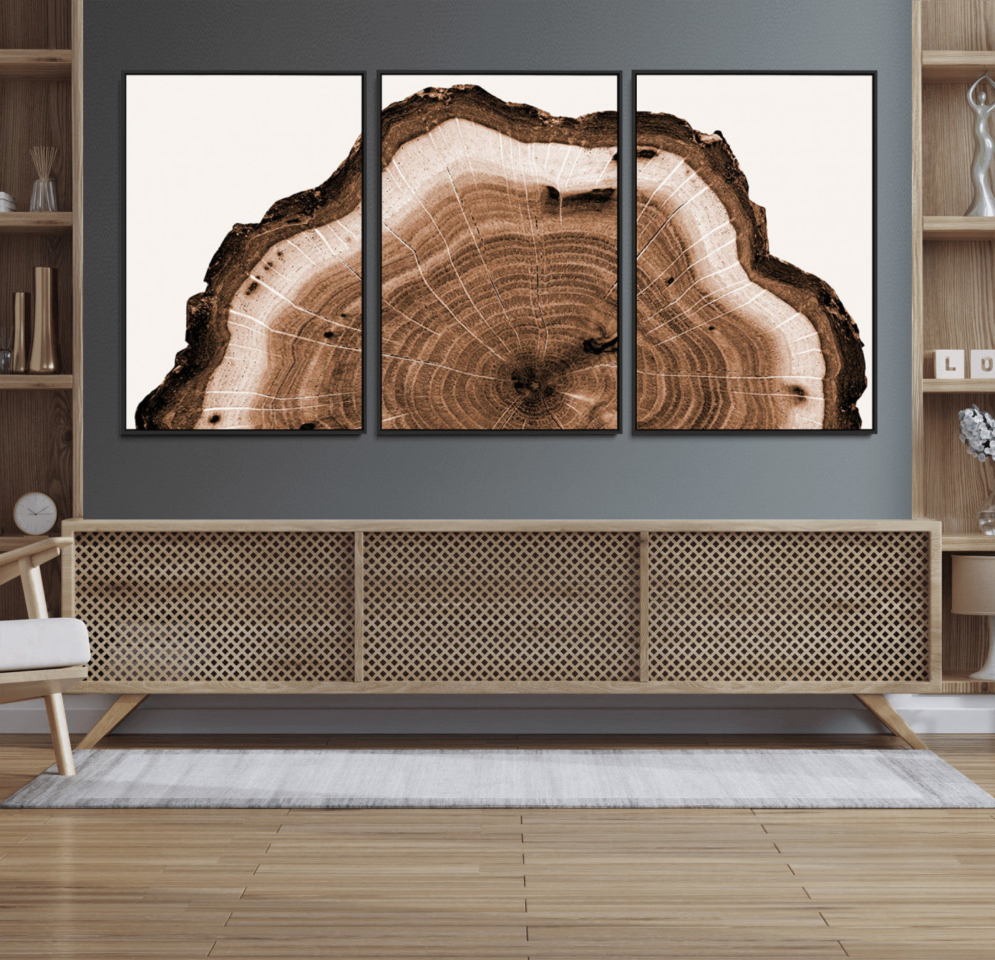 Rustic Wood Rings Wall Art | Nature-Inspired Tree Ring
