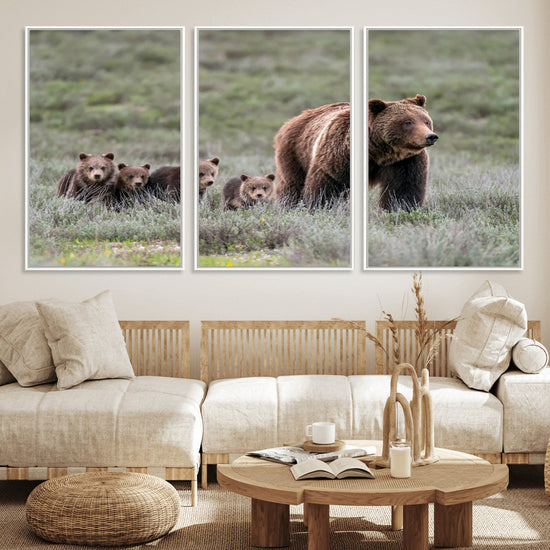 Wildlife Photography of 399 Grizzly Bear Cubs | Queen of the