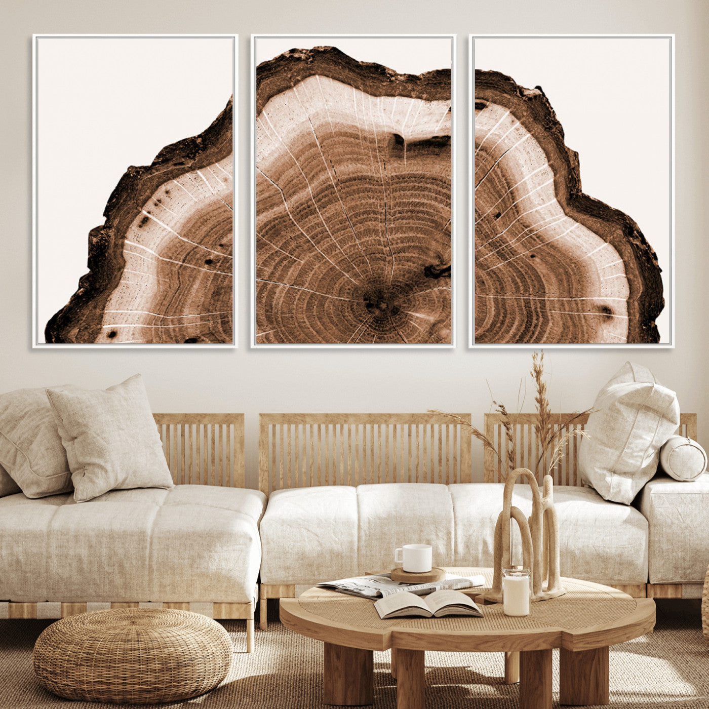 Rustic Wood Rings Wall Art | Nature-Inspired Tree Ring