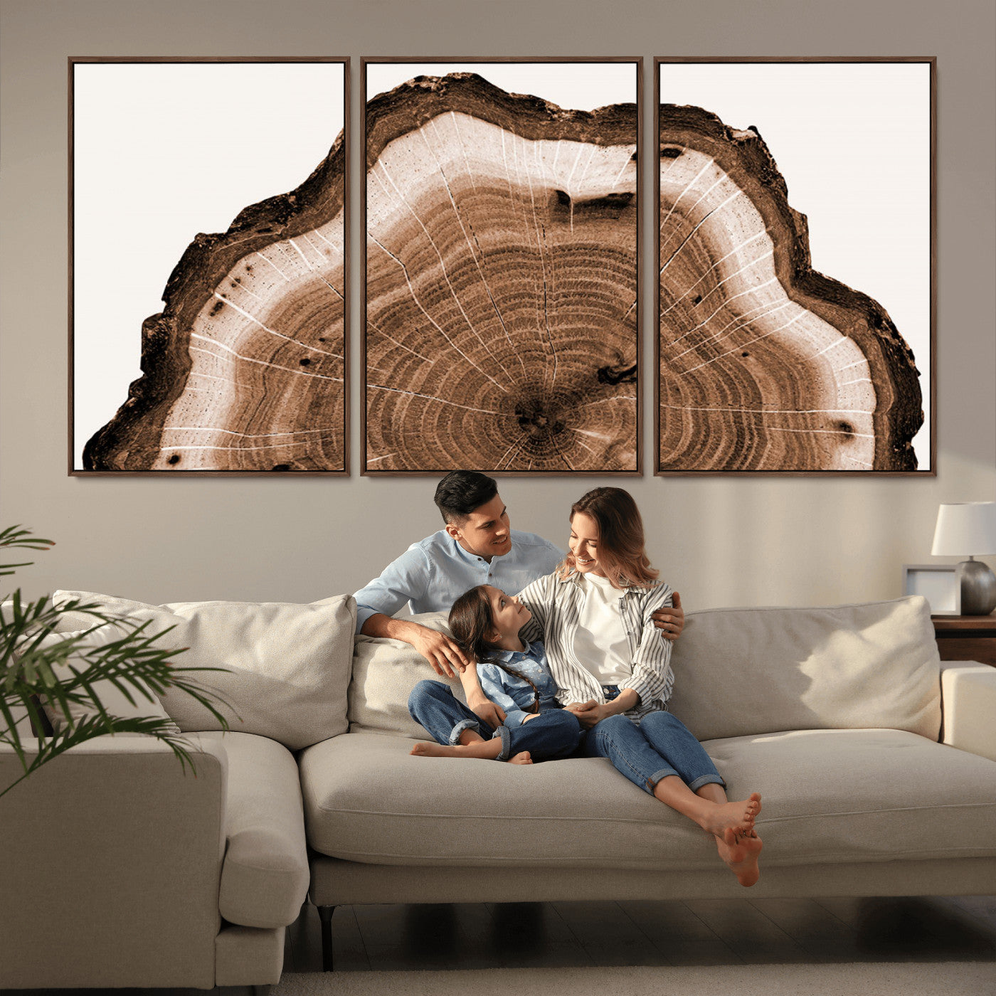 Rustic Wood Rings Wall Art | Nature-Inspired Tree Ring