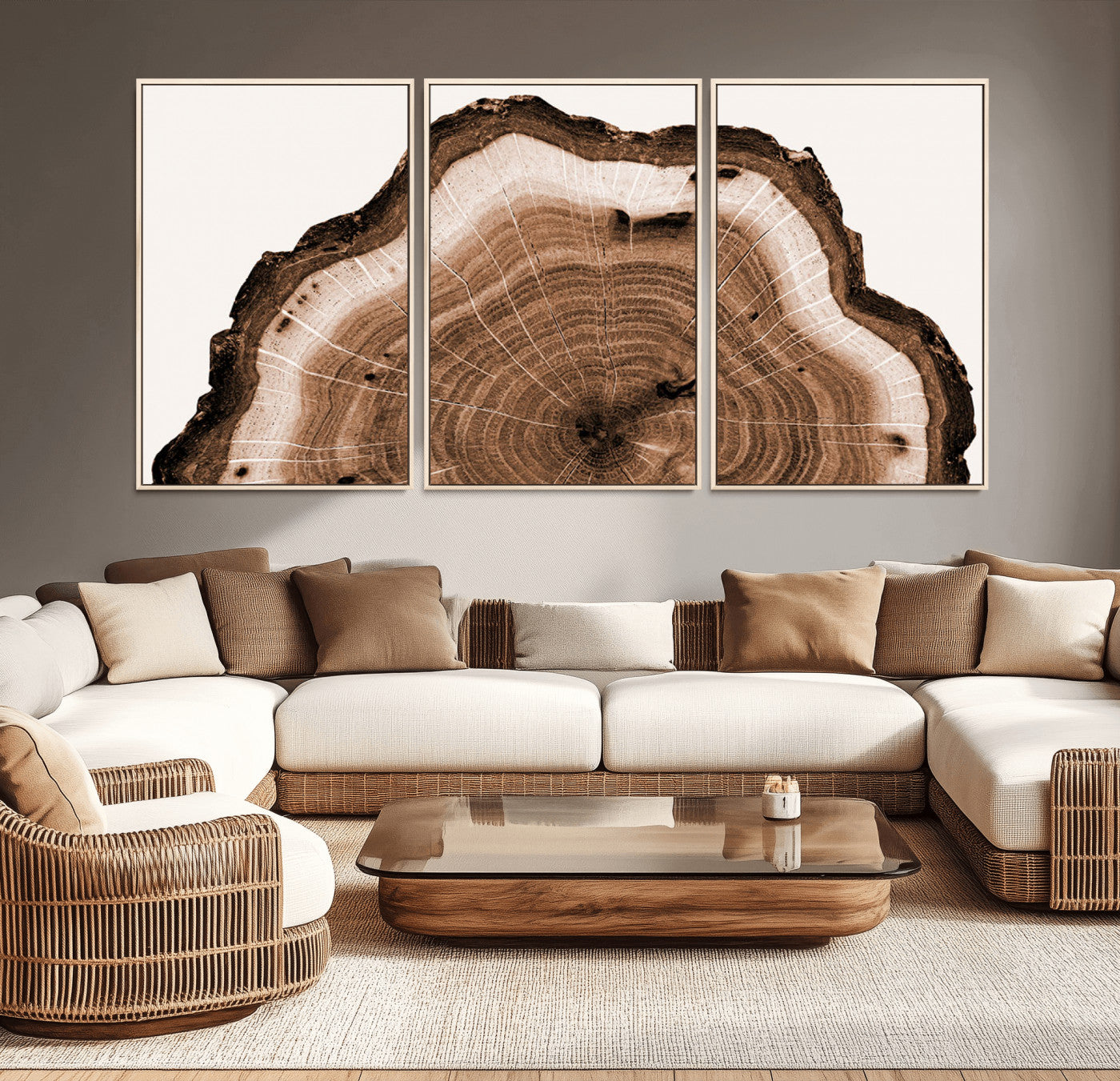 Rustic Wood Rings Wall Art | Nature-Inspired Tree Ring