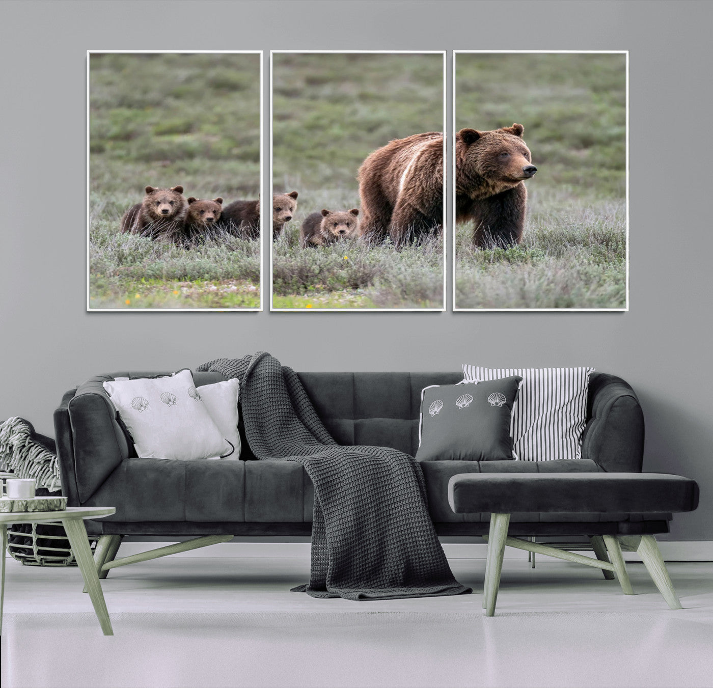 Wildlife Photography of 399 Grizzly Bear Cubs | Queen of the