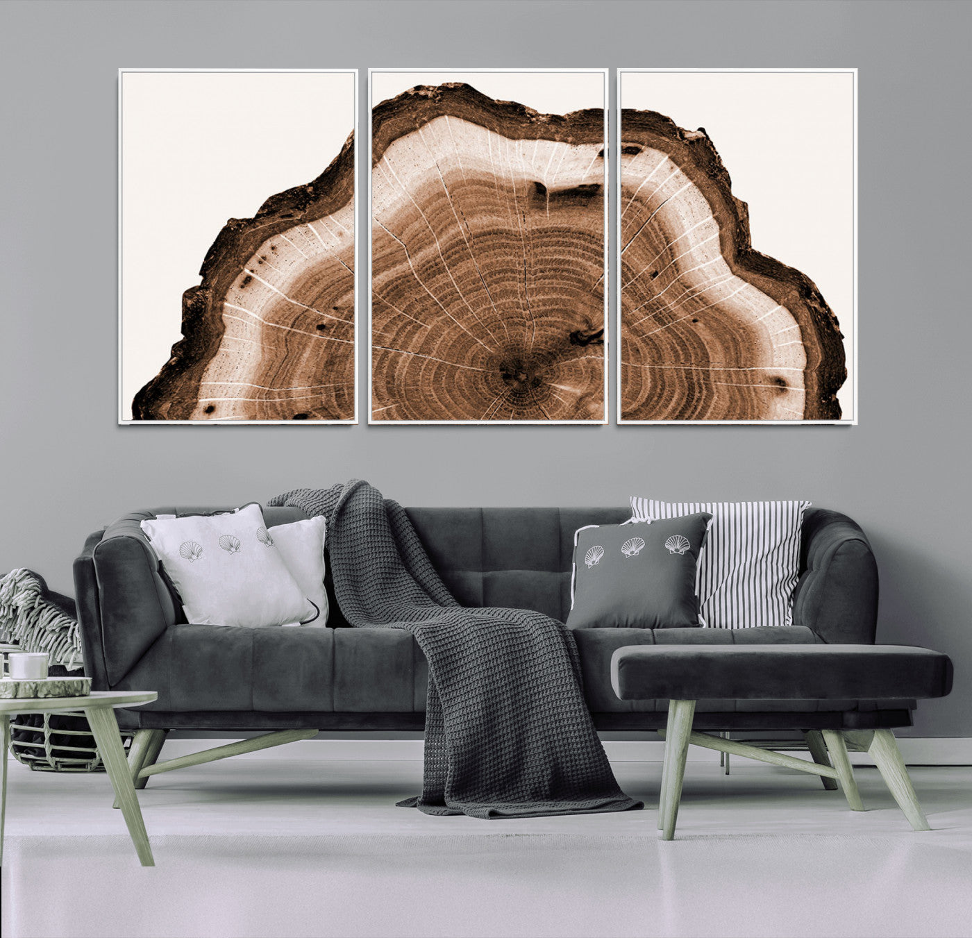 Rustic Wood Rings Wall Art | Nature-Inspired Tree Ring
