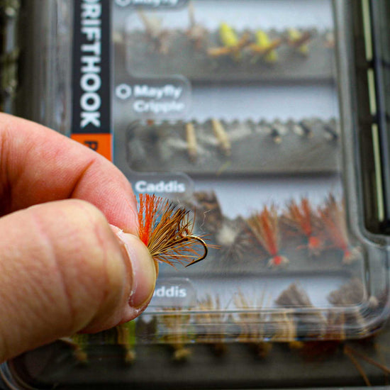 Pro Emergers Fly Fishing Flies Kit - Fishing Gifts for Outdoor Enthusiasts