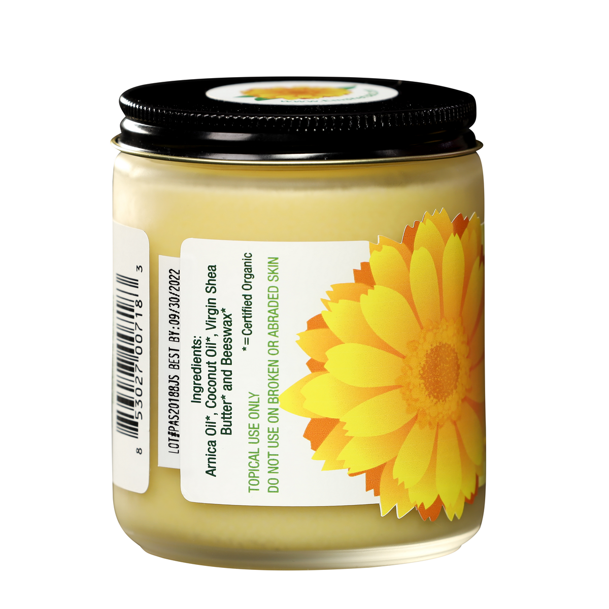 Pure Arnica Salve