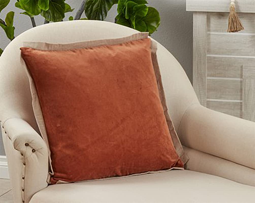 Fennco Styles Classic Cotton Velvet Flange Decorative Throw Pillow 20" W x 20" L - Woven Cushion for Home, Couch, Bedroom and Office Décor