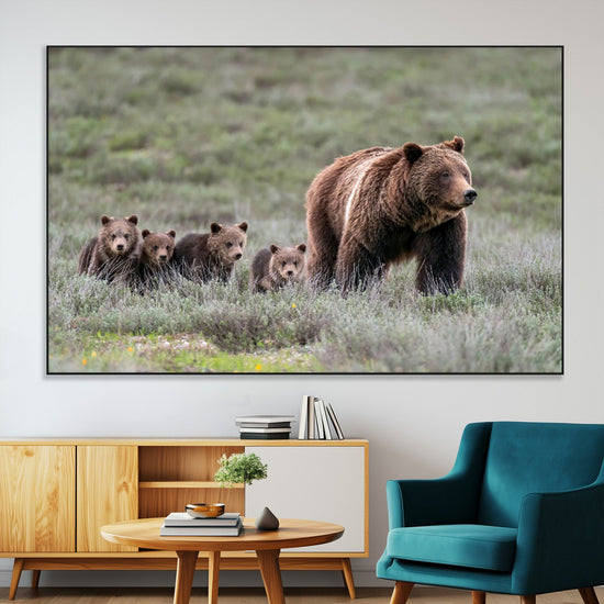 Wildlife Photography of 399 Grizzly Bear Cubs | Queen of the