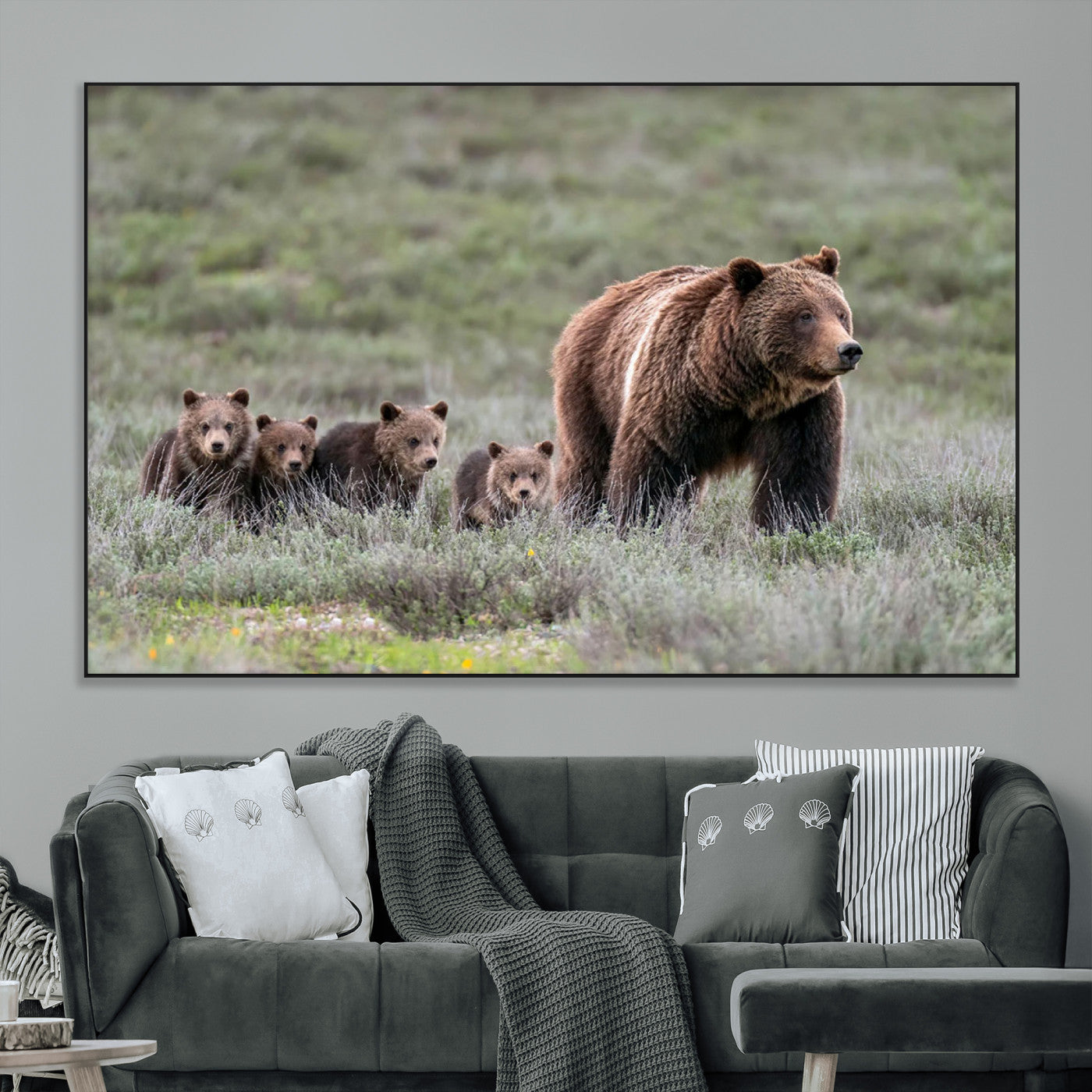 Wildlife Photography of 399 Grizzly Bear Cubs | Queen of the
